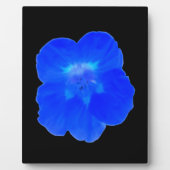 Blue Nasturtium Plaque Fotoplatte (Vorderseite)