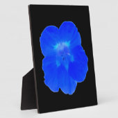 Blue Nasturtium Plaque Fotoplatte (Seite)