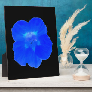 Blue Nasturtium Plaque Fotoplatte