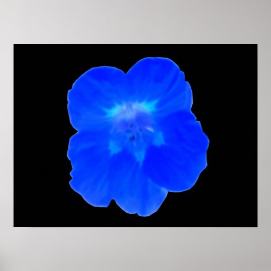 Blue Nasturtium Print Poster (Vorne)