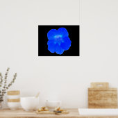 Blue Nasturtium Print Poster (Küche)
