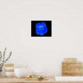 Blue Nasturtium Print Poster (Küche)