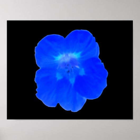 Blue Nasturtium Print Poster (Vorne)
