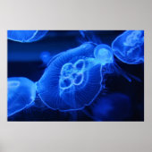 Blue Neon Jellyfish Poster (Vorne)