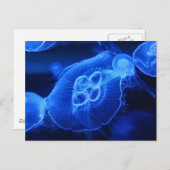 Blue Neon Jellyfish Postkarte (Vorne/Hinten)