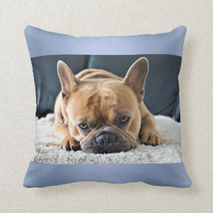 Blue Niedlich French Bulldog Cushion Kissen