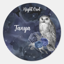 Blue Night Owl Classic Round Aufkleber
