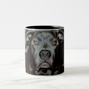 Blue Nose Pit Bull Terrier Tasse