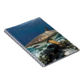 Blue Ocean Summer Beach Hai Foto Notizblock (Rechte Seite)