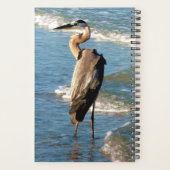 Blue Ocean Waves Shorebird Heron Beach Foto Planer (Rückseite)