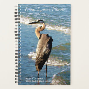 Blue Ocean Waves Shorebird Heron Beach Foto Planer