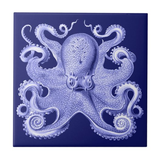Blue Octopus Nautical Beach House Coastal Haeckel Fliese (Vorderseite)
