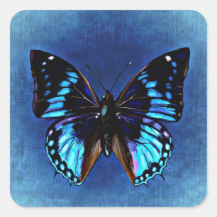 Blue on Blue Butterfly Sticker