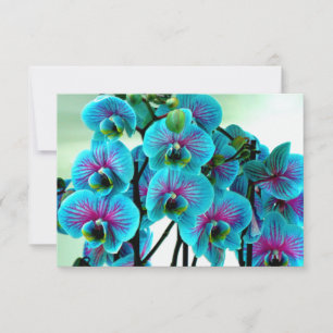 Blue Orchid Blume Bouquet Dankeskarte
