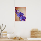 Blue Orchid Fotografien Print Poster (Küche)