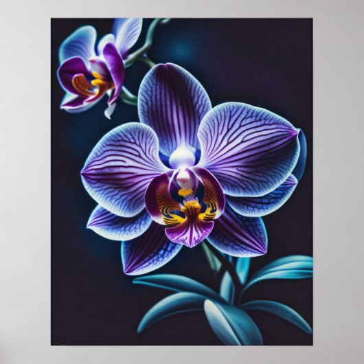 Blue Orchid II Poster (Vorne)