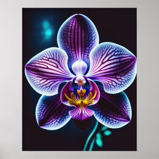 Blue Orchid Poster (Vorne)