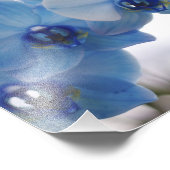 Blue Orchids Fotodruck (Ecke)