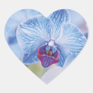 Blue Orchids Herz-Aufkleber