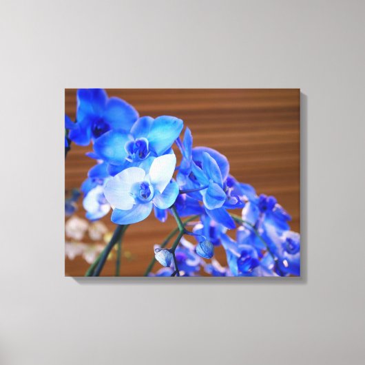 Blue Orchids Leinwanddruck (Vorderseite)