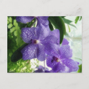 Blue Orchids Painterly Postkarte