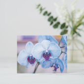 Blue Orchids Postkarte (Stehend Vorderseite)