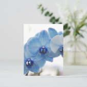 Blue Orchids Postkarte (Stehend Vorderseite)
