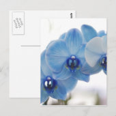 Blue Orchids Postkarte (Vorne/Hinten)
