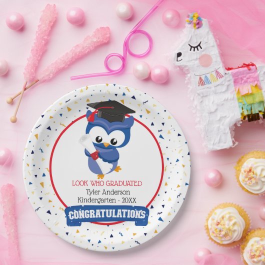 Blue Owl Kindergarten Abschluss Pappteller (Party)