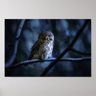 Blue Owl Poster