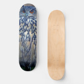 Blue Owl Skateboard Deck (Vorderseite)