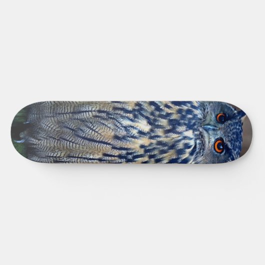Blue Owl Skateboard Deck (Horizontal)