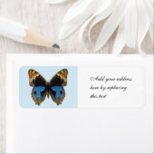 Blue Pansy Butterfly (Insitu)