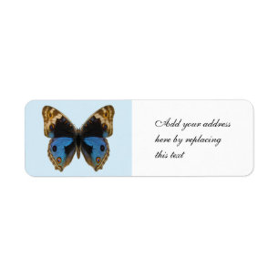 Blue Pansy Butterfly