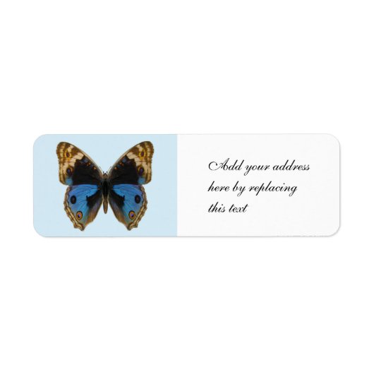 Blue Pansy Butterfly (Vorne)
