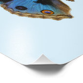 Blue Pansy Butterfly Fotodruck (Ecke)