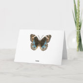 Blue Pansy Butterfly Karte (Rückseite)