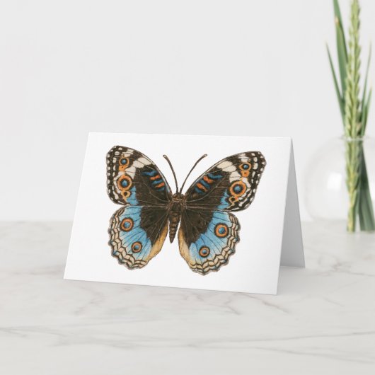 Blue Pansy Butterfly Karte (Vorderseite)