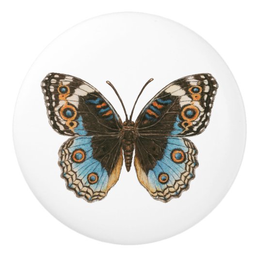 Blue Pansy Butterfly Keramikknauf (Vorderseite)