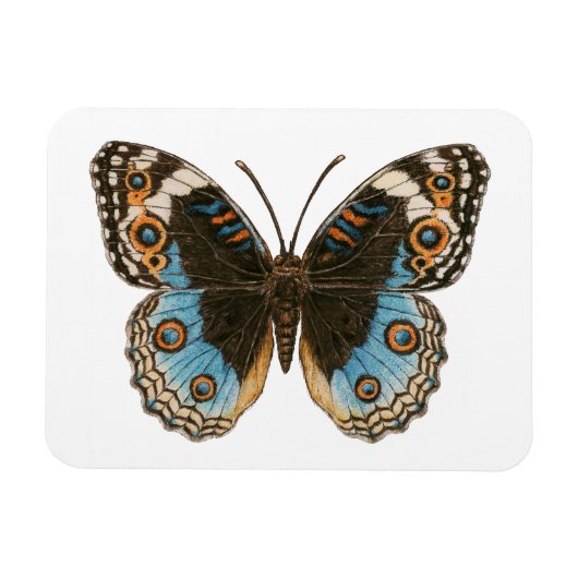Blue Pansy Butterfly Magnet (Horizontal)