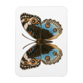 Blue Pansy Butterfly Magnet (Vertikal)