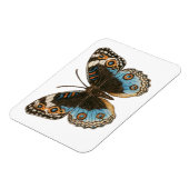 Blue Pansy Butterfly Magnet (Linke Seite)