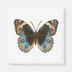 Blue Pansy Butterfly Magnet