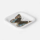 Blue Pansy Butterfly Pappteller (Gewinkelt)