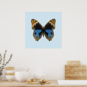 Blue Pansy Butterfly Poster (Küche)