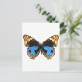 Blue Pansy Butterfly Postkarte (Stehend Vorderseite)