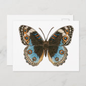 Blue Pansy Butterfly Postkarte (Vorne/Hinten)