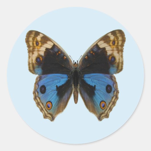 Blue Pansy Butterfly Runder Aufkleber (Vorderseite)