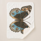 Blue Pansy Butterfly Sherpadecke (Vorderseite)