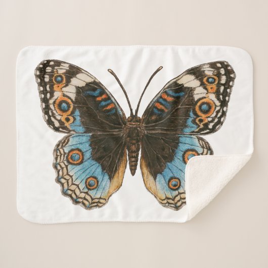 Blue Pansy Butterfly Sherpadecke (Vorderseite (Horizontal))
